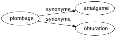 Synonyme de Plombage : Amalgamé Obturation 