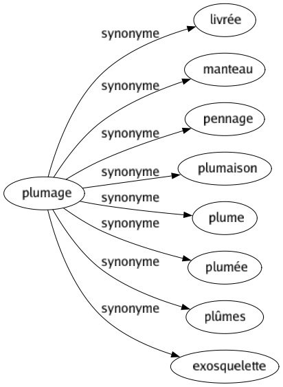 Synonyme de Plumage : Livrée Manteau Pennage Plumaison Plume Plumée Plûmes Exosquelette 