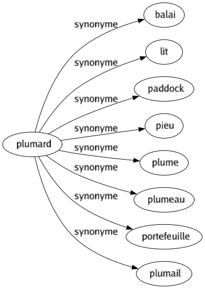 Synonyme de Plumard : Balai Lit Paddock Pieu Plume Plumeau Portefeuille Plumail 