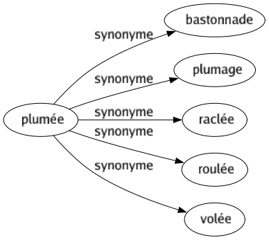 Synonyme de Plumée : Bastonnade Plumage Raclée Roulée Volée 