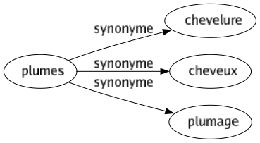 Synonyme de Plumes : Chevelure Cheveux Plumage 