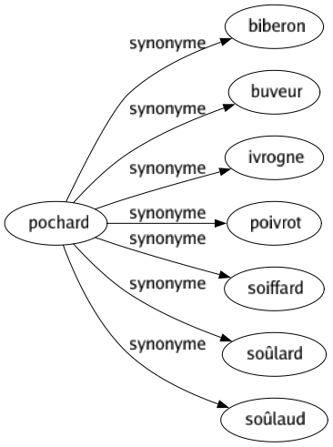 Synonyme de Pochard : Biberon Buveur Ivrogne Poivrot Soiffard Soûlard Soûlaud 