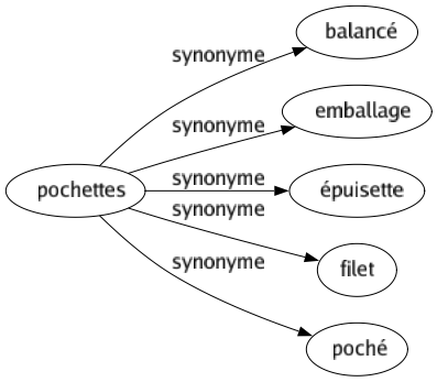 Synonyme de Pochettes : Balancé Emballage Épuisette Filet Poché 