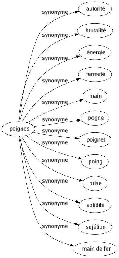 Synonyme de Poignes : Autorité Brutalité Énergie Fermeté Main Pogne Poignet Poing Prisé Solidité Sujétion Main de fer 