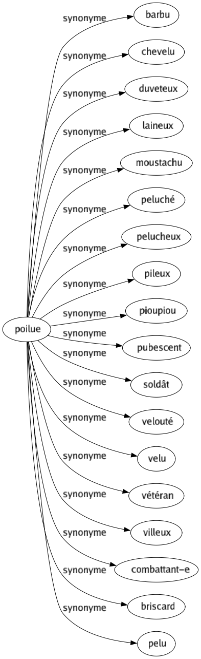 Synonyme de Poilue : Barbu Chevelu Duveteux Laineux Moustachu Peluché Pelucheux Pileux Pioupiou Pubescent Soldât Velouté Velu Vétéran Villeux Combattant-e Briscard Pelu 