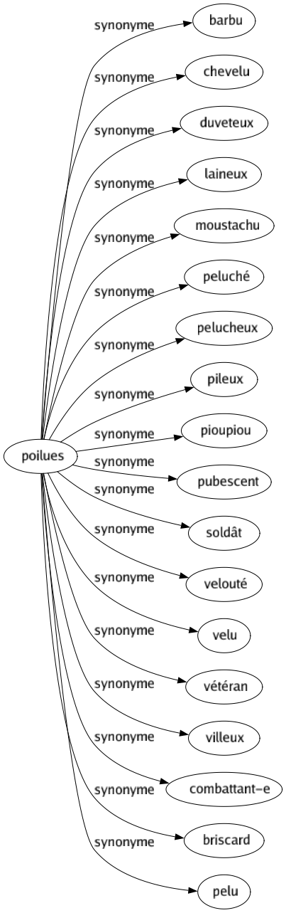 Synonyme de Poilues : Barbu Chevelu Duveteux Laineux Moustachu Peluché Pelucheux Pileux Pioupiou Pubescent Soldât Velouté Velu Vétéran Villeux Combattant-e Briscard Pelu 