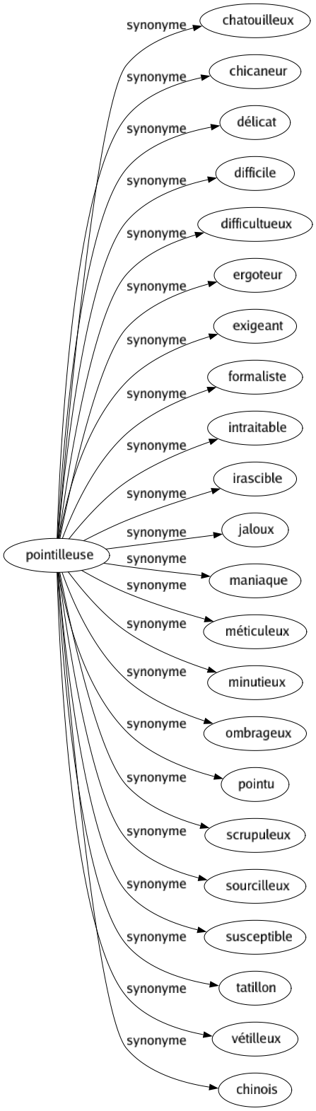 Synonyme de Pointilleuse : Chatouilleux Chicaneur Délicat Difficile Difficultueux Ergoteur Exigeant Formaliste Intraitable Irascible Jaloux Maniaque Méticuleux Minutieux Ombrageux Pointu Scrupuleux Sourcilleux Susceptible Tatillon Vétilleux Chinois 