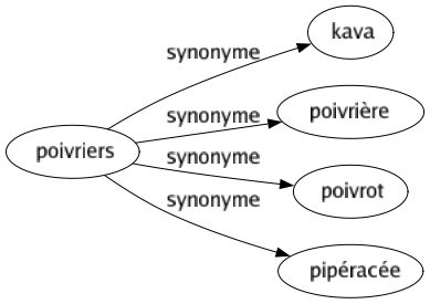 Synonyme de Poivriers : Kava Poivrière Poivrot Pipéracée 