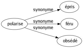 Synonyme de Polarise : Épris Féru Obsédé 