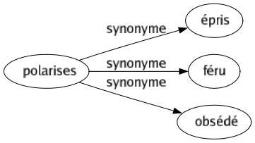 Synonyme de Polarises : Épris Féru Obsédé 