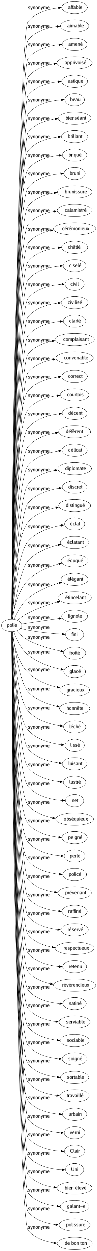 Synonyme de Polie : Affable Aimable Amené Apprivoisé Astique Beau Bienséant Brillant Briqué Bruni Brunissure Calamistré Cérémonieux Châtié Ciselé Civil Civilisé Clarté Complaisant Convenable Correct Courtois Décent Défèrent Délicat Diplomate Discret Distingué Éclat Éclatant Éduqué Élégant Étincelant Fignole Fini Frotté Glacé Gracieux Honnête Léché Lissé Luisant Lustré Net Obséquieux Peigné Perlé Policé Prévenant Raffiné Réservé Respectueux Retenu Révérencieux Satiné Serviable Sociable Soigné Sortable Travaillé Urbain Verni Clair Uni Bien élevé Galant-e Polissure De bon ton 