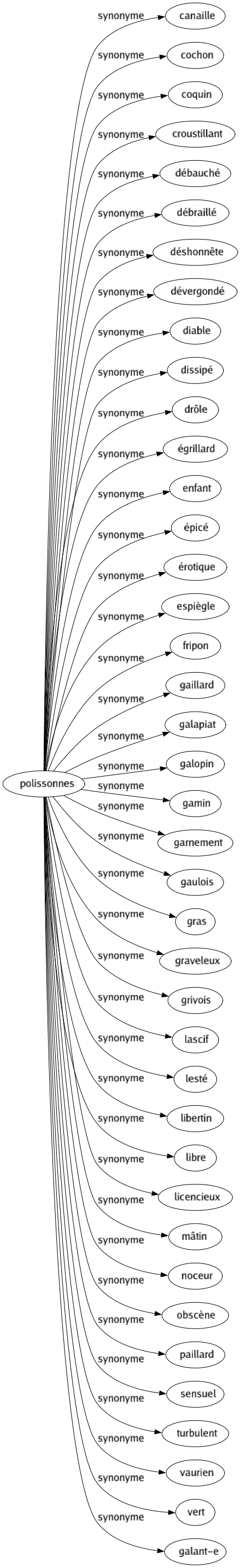 Synonyme de Polissonnes : Canaille Cochon Coquin Croustillant Débauché Débraillé Déshonnête Dévergondé Diable Dissipé Drôle Égrillard Enfant Épicé Érotique Espiègle Fripon Gaillard Galapiat Galopin Gamin Garnement Gaulois Gras Graveleux Grivois Lascif Lesté Libertin Libre Licencieux Mâtin Noceur Obscène Paillard Sensuel Turbulent Vaurien Vert Galant-e 