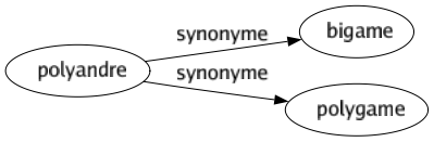 Synonyme de Polyandre : Bigame Polygame 