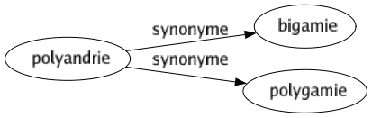 Synonyme de Polyandrie : Bigamie Polygamie 