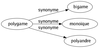 Synonyme de Polygame : Bigame Monoïque Polyandre 