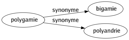 Synonyme de Polygamie : Bigamie Polyandrie 