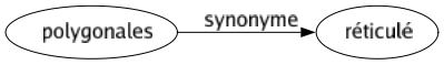 Synonyme de Polygonales : Réticulé 