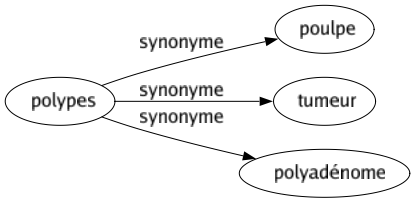 Synonyme de Polypes : Poulpe Tumeur Polyadénome 