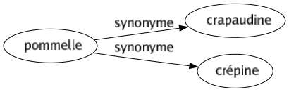 Synonyme de Pommelle : Crapaudine Crépine 