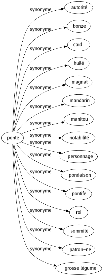 Synonyme de Ponte : Autorité Bonze Caïd Huilé Magnat Mandarin Manitou Notabilité Personnage Pondaison Pontife Roi Sommité Patron-ne Grosse légume 