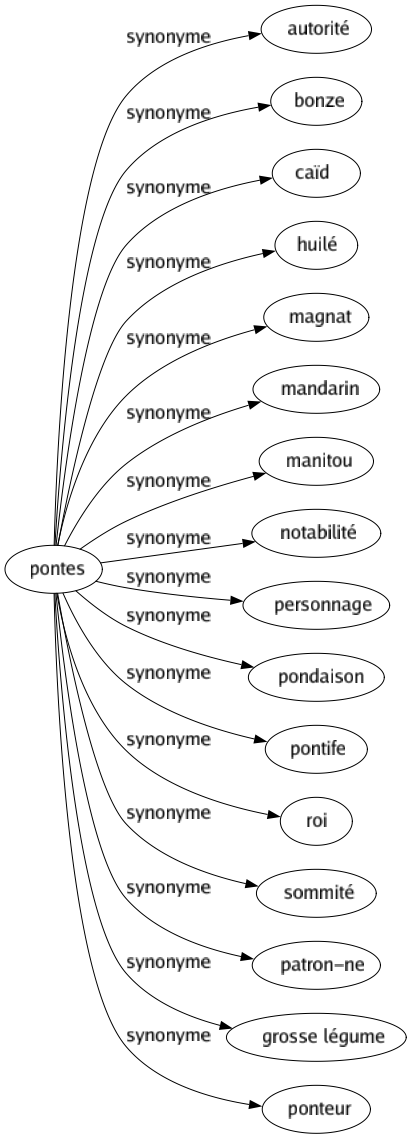 Synonyme de Pontes : Autorité Bonze Caïd Huilé Magnat Mandarin Manitou Notabilité Personnage Pondaison Pontife Roi Sommité Patron-ne Grosse légume Ponteur 