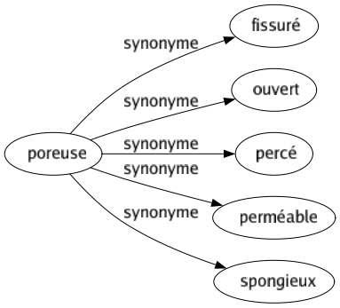 Synonyme de Poreuse : Fissuré Ouvert Percé Perméable Spongieux 