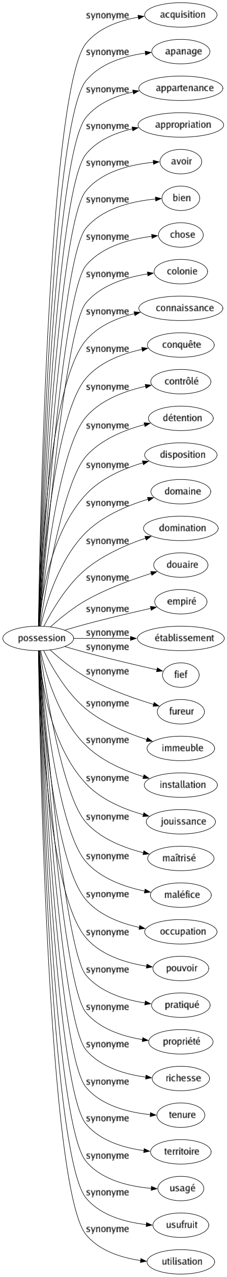 Synonyme de Possession : Acquisition Apanage Appartenance Appropriation Avoir Bien Chose Colonie Connaissance Conquête Contrôlé Détention Disposition Domaine Domination Douaire Empiré Établissement Fief Fureur Immeuble Installation Jouissance Maîtrisé Maléfice Occupation Pouvoir Pratiqué Propriété Richesse Tenure Territoire Usagé Usufruit Utilisation 