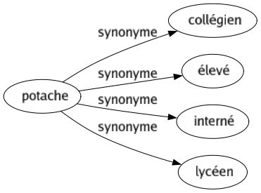 Synonyme de Potache : Collégien Élevé Interné Lycéen 