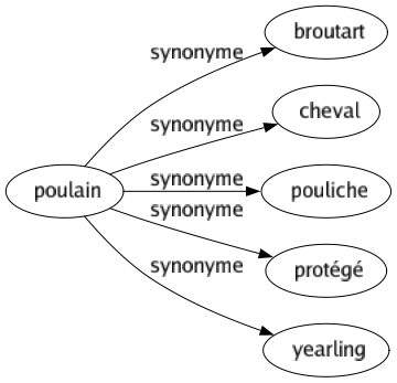 Synonyme de Poulain : Broutart Cheval Pouliche Protégé Yearling 