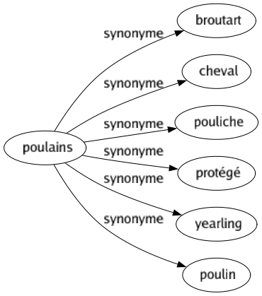 Synonyme de Poulains : Broutart Cheval Pouliche Protégé Yearling Poulin 