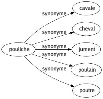 Synonyme de Pouliche : Cavale Cheval Jument Poulain Poutre 