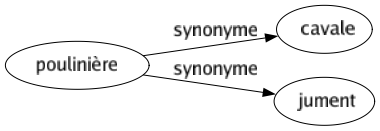 Synonyme de Poulinière : Cavale Jument 