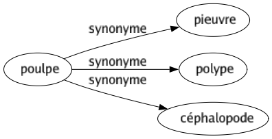 Synonyme de Poulpe : Pieuvre Polype Céphalopode 