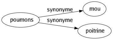 Synonyme de Poumons : Mou Poitrine 