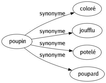 Synonyme de Poupin : Coloré Joufflu Potelé Poupard 