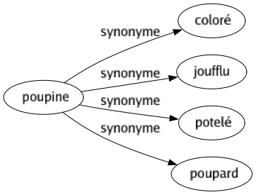 Synonyme de Poupine : Coloré Joufflu Potelé Poupard 