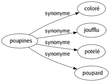 Synonyme de Poupines : Coloré Joufflu Potelé Poupard 