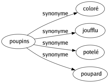 Synonyme de Poupins : Coloré Joufflu Potelé Poupard 