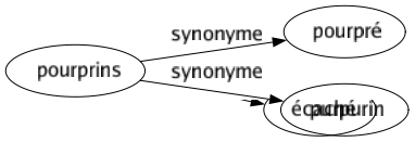 Synonyme de Pourprins : Pourpré Purpurin 