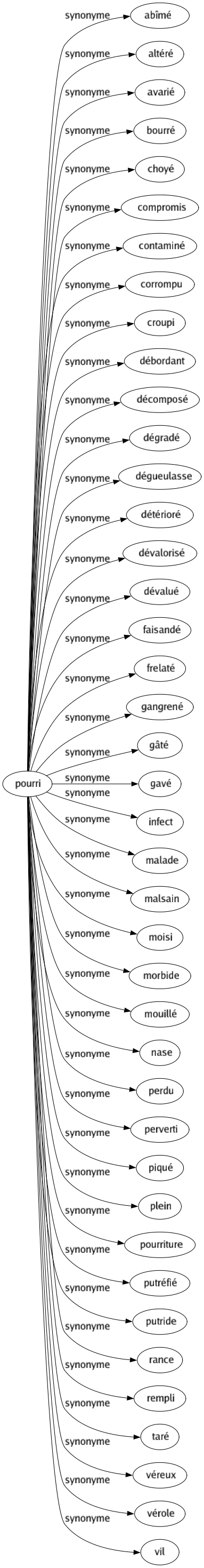 Synonyme de Pourri : Abîmé Altéré Avarié Bourré Choyé Compromis Contaminé Corrompu Croupi Débordant Décomposé Dégradé Dégueulasse Détérioré Dévalorisé Dévalué Faisandé Frelaté Gangrené Gâté Gavé Infect Malade Malsain Moisi Morbide Mouillé Nase Perdu Perverti Piqué Plein Pourriture Putréfié Putride Rance Rempli Taré Véreux Vérole Vil 