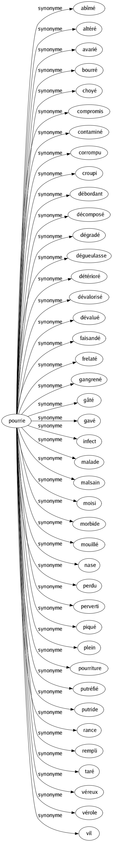 Synonyme de Pourrie : Abîmé Altéré Avarié Bourré Choyé Compromis Contaminé Corrompu Croupi Débordant Décomposé Dégradé Dégueulasse Détérioré Dévalorisé Dévalué Faisandé Frelaté Gangrené Gâté Gavé Infect Malade Malsain Moisi Morbide Mouillé Nase Perdu Perverti Piqué Plein Pourriture Putréfié Putride Rance Rempli Taré Véreux Vérole Vil 