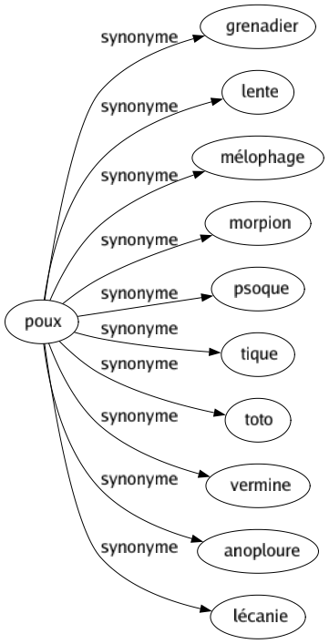 Synonyme de Poux : Grenadier Lente Mélophage Morpion Psoque Tique Toto Vermine Anoploure Lécanie 