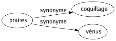 Synonyme de Praires : Coquillage Vénus 