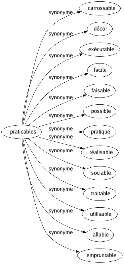 Synonyme de Praticables : Carrossable Décor Exécutable Facile Faisable Possible Pratiqué Réalisable Sociable Traitable Utilisable Allable Empruntable 