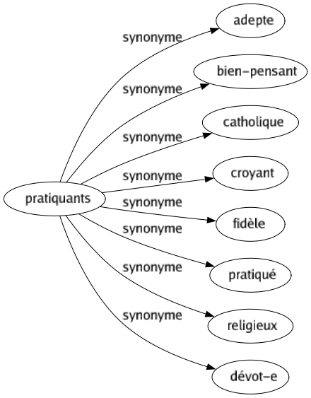 Synonyme de Pratiquants : Adepte Bien-pensant Catholique Croyant Fidèle Pratiqué Religieux Dévot-e 