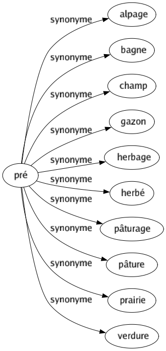 Synonyme de Pré : Alpage Bagne Champ Gazon Herbage Herbé Pâturage Pâture Prairie Verdure 