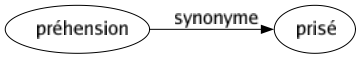 Synonyme de Préhension : Prisé 