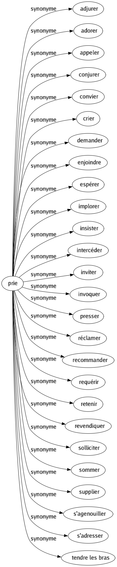 Synonyme de Prie : Adjurer Adorer Appeler Conjurer Convier Crier Demander Enjoindre Espérer Implorer Insister Intercéder Inviter Invoquer Presser Réclamer Recommander Requérir Retenir Revendiquer Solliciter Sommer Supplier S'agenouiller S'adresser Tendre les bras 