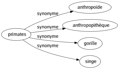 Synonyme de Primates : Anthropoïde Anthropopithèque Gorille Singe 