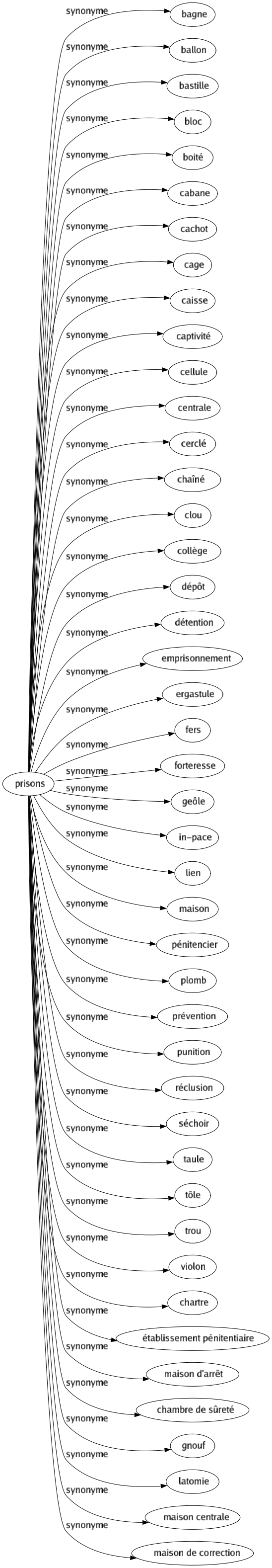 Synonyme de Prisons : Bagne Ballon Bastille Bloc Boité Cabane Cachot Cage Caisse Captivité Cellule Centrale Cerclé Chaîné Clou Collège Dépôt Détention Emprisonnement Ergastule Fers Forteresse Geôle In-pace Lien Maison Pénitencier Plomb Prévention Punition Réclusion Séchoir Taule Tôle Trou Violon Chartre Établissement pénitentiaire Maison d'arrêt Chambre de sûreté Gnouf Latomie Maison centrale Maison de correction 